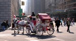 Buggy1064