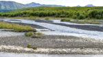 Denali river lvls shadhi smarp l8-26-23 44×78