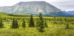 Landscape 1 lvls smarp 8-28-23 36×74