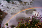 Americanrainbow
