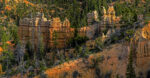 Canyons bryce 1 36×69