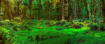 Garden-of-Eden-1