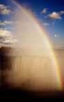 Rainbowcrop-187×300 copy