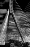 Urban 27 36×55