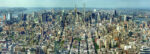 Manhattan 3 36×96